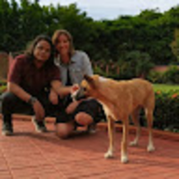 Meet your Posher, Diego - Picture 1 of 1